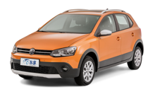 Cross Polo